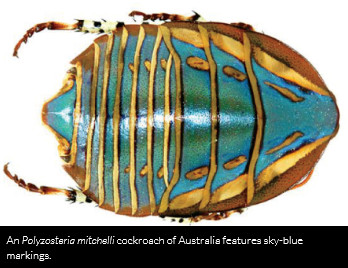 "{IG"VW} \k"j"WҺ "{IG"VW} \k"j"WҺ