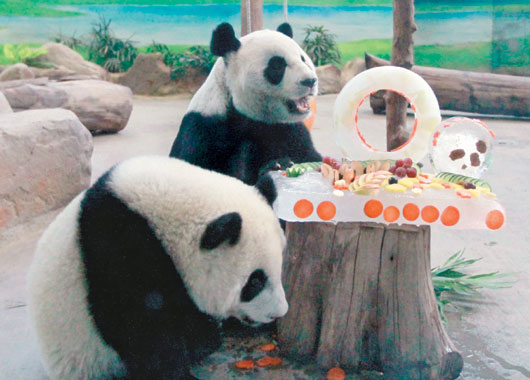 �������]����߸����L10�Хͤ�����|�\���ʐ�