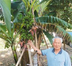 �­M�L����