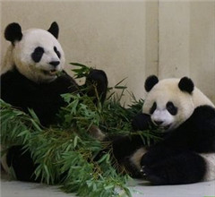 ��]�L���n���@�f�Ʃ��y�ڥ� ���أV�����ʐ�