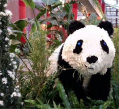 �θK���W�K�Y�����Q���n