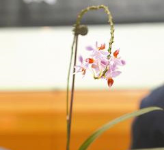 ���W�K�����\�}�z�^���H�D�a�� �l�h������