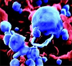 ���h�������H�I�S�н}�m�����|���y�F�f޷