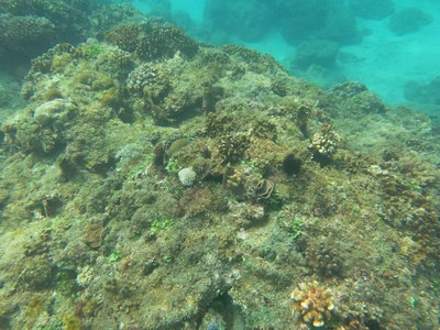 ���W�h���~�����ݪq�Y�Ű��G40�f��D���ʐ�