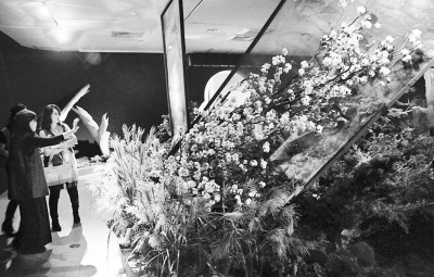 �ʐ��哥�L�ڱ`���G��¦������i