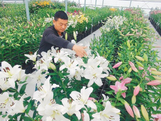 �夤���ϕs�֣e������165�ѶP�F��G�F���ʐ�