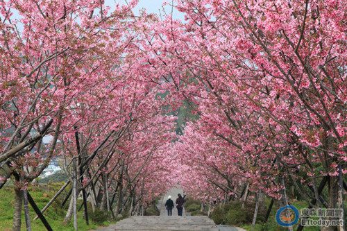 �h���ޱ�����j�e�a�I�ɷR���S�E���O�����[��