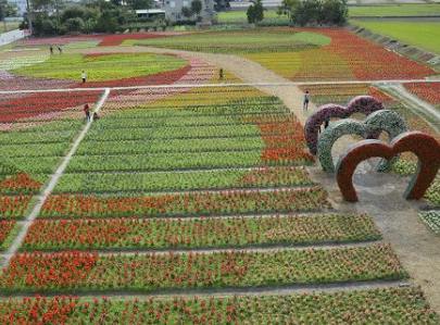 ��F���;ד��P�� �դ�����y�Q