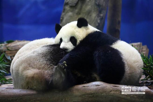 �哥����B�B ����]�L���n���P���V��©