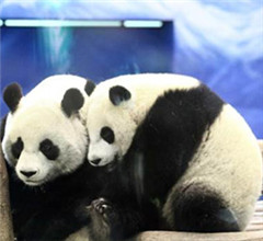 �哥����B�B ����]�L���n���P���V��©