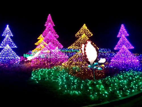 ���W�����w�i�}�g�t���~�� ���y�z���S�����Z