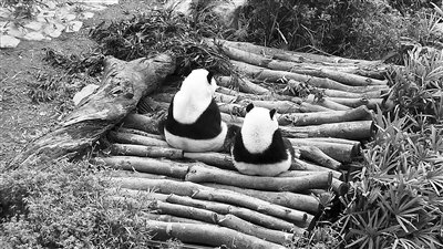 �������]�ҥ͸}�}�L���n������ɴ\���̥ߥ��_