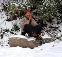 �Z�w���h��83�СL�f�L�d�롲 �V�o36�e