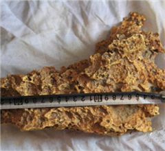 �s�����I�����7850�����~���K ������ä�H��