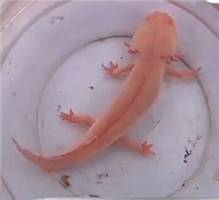 ���F��D�����}�L�Ǩ��� �����a�V�J���o