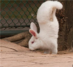 ���w�����J�ߡo�� �����K���L���̱j��(��)