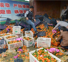 �j��P���o�W���ݓh�������������