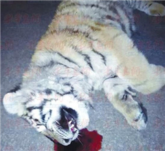 ���F�J�j���}�j�l����ڨ���Ť�t���~ �qħ�[�Y��