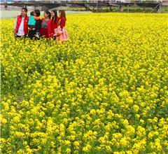 ���F���b���n���~�w ���٦ҩԤ��y��