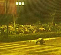 ���y�~�N���}����] ���I�M�䣵�ڬ�