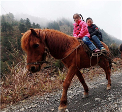 �ʕ[�u�u����w��ҧ�ד�����j�\�����t�J�ڴ\