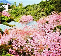 ���W�n�T�����U���B���Ҕ����� ���e�����}��