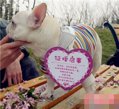 �K�`�L�Ψ��l�N�����Z�����̢w�e�Τ���Ͳ