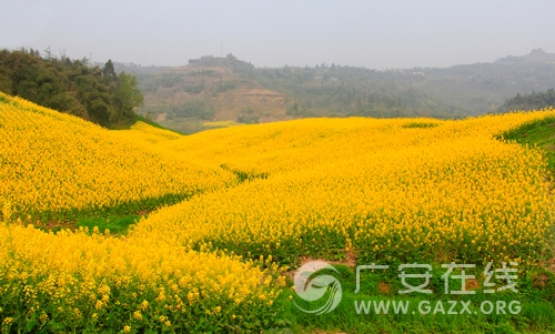 �r�����}�޹M�H���W �������^�y�Q�����Y�������ǐ�