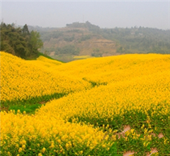 �h��S�V�KͲ ���^�r�����}