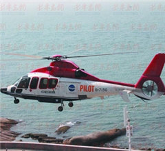 �����y�q�N�Y"��ˡ~��"�d���� ����̔I���P