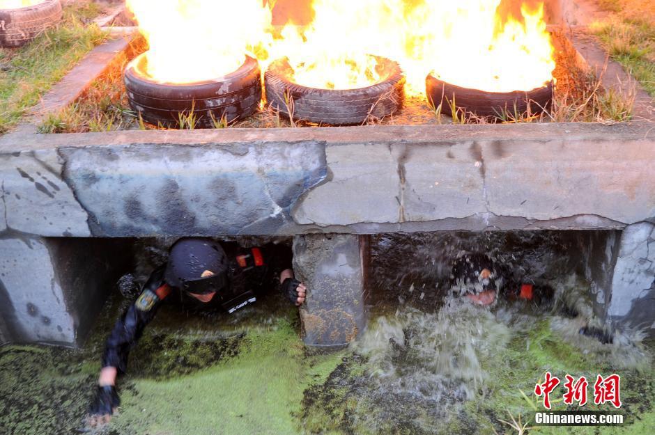 �y�d�S�s���y8��}�� �������v�R�W�Yè�J���Y