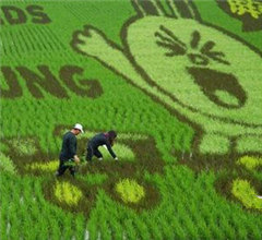 �h�����yLINE����� ��F�G�{����