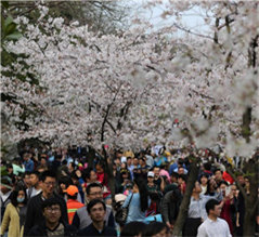 �h�y�俰�ͤ��Q �i�z�ѧL��