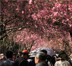 �M�R�|�͐�ä���Ԓ����ͯ��H���e�ɹL