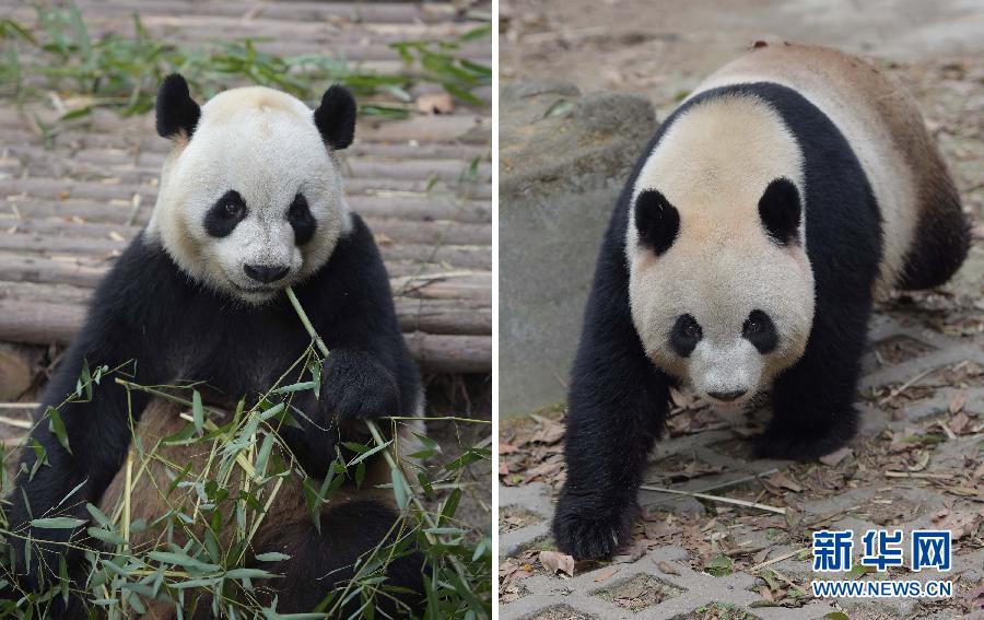 �������D������]�J�~ ���@5�������D�D��