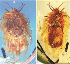 �P�˥����|�������q���q 1�f�e�A�K�t��