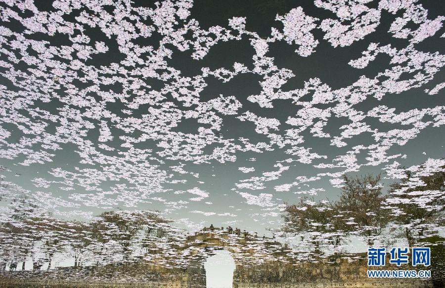 �{�ܒˤB�¤��