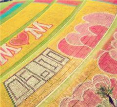 �H�q��ӼZ�n���X���J�� 12�������o�W�K������ǯ�