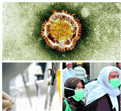 ���y���_MERS�P�V���F���� �ɲ�:�������_�������W