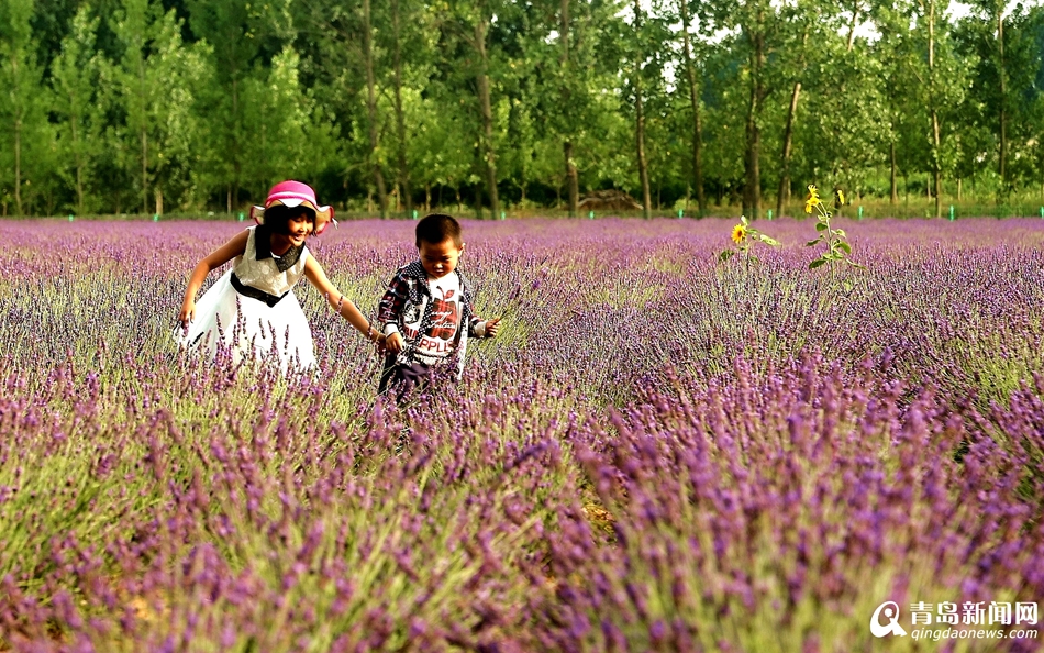 �y�q�e֣��p�ĒͲ����W