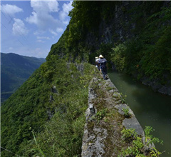 �L���ȤѪe�������k�w潒����Y�L��꾱���