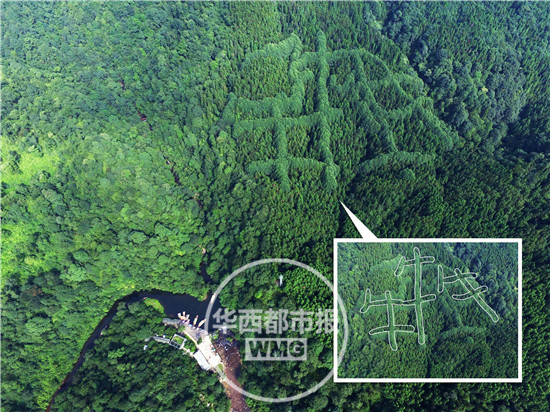 �K�`���[�}�I�S�L�ġ��Y������ �k�D�K�}