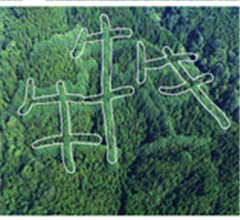 �K�`���[�}�I�S�L�ġ��Y������ �k�D�K�}