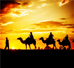 �����}�W���� ��h�m���q���S�g����