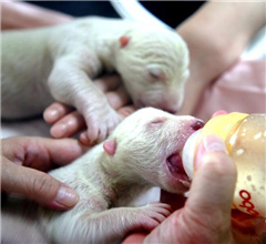 ���F���������L�s��L�����f�K��