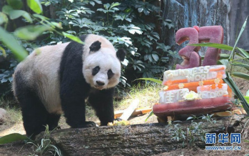 �L�}�}���L37�W�Хͤ��