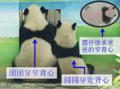 �L�������ߡL�������Y棳������ण����