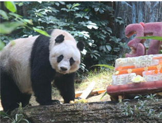 �n�Ӕ��ﺫ�w�� ���J���A�������]�����O