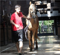 �������w�~�k�L���ña�ùj���s���o����Ͳ�m�t�}�J�i�ܻH�H