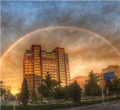 ���ʐ䓥�y�B�A�}���l��h �����N�~�ܬK